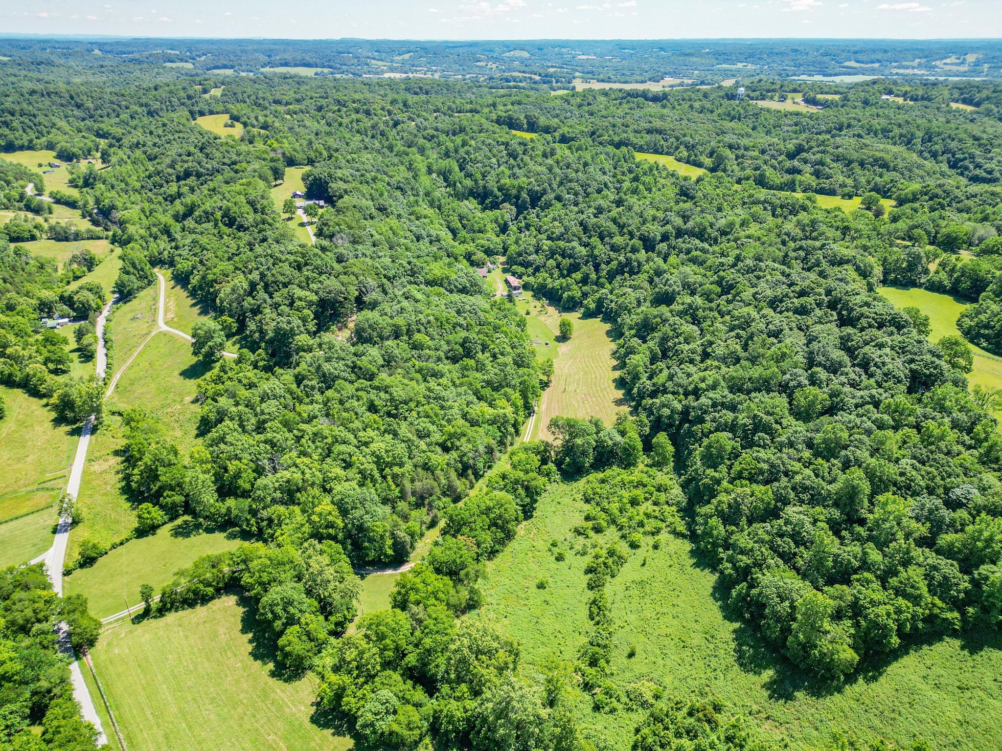 a view of a green field with lots of bushes