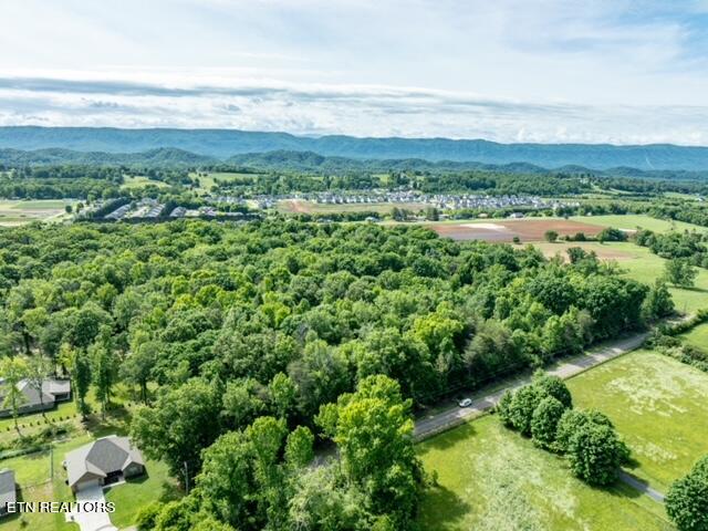 Aerial view South