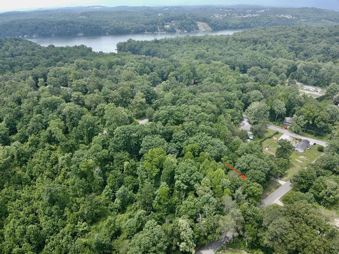 a view of a forest with a houses