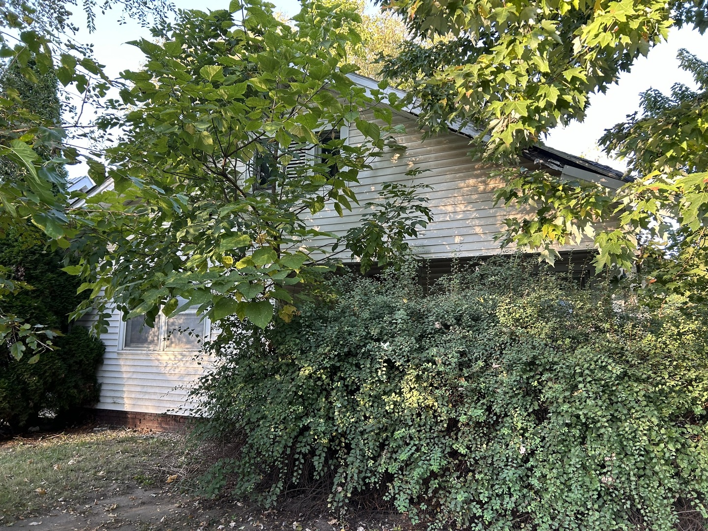 a view of a house with a tree