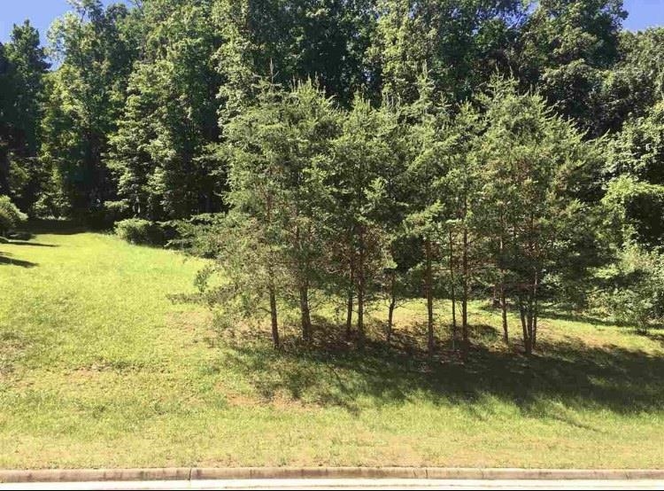 a view of yard with trees