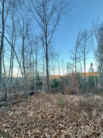 $320,000 | 0 Curtis Hill Heights | Woodstock ME