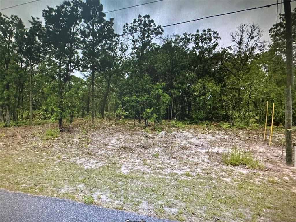 a view of a yard with a tree