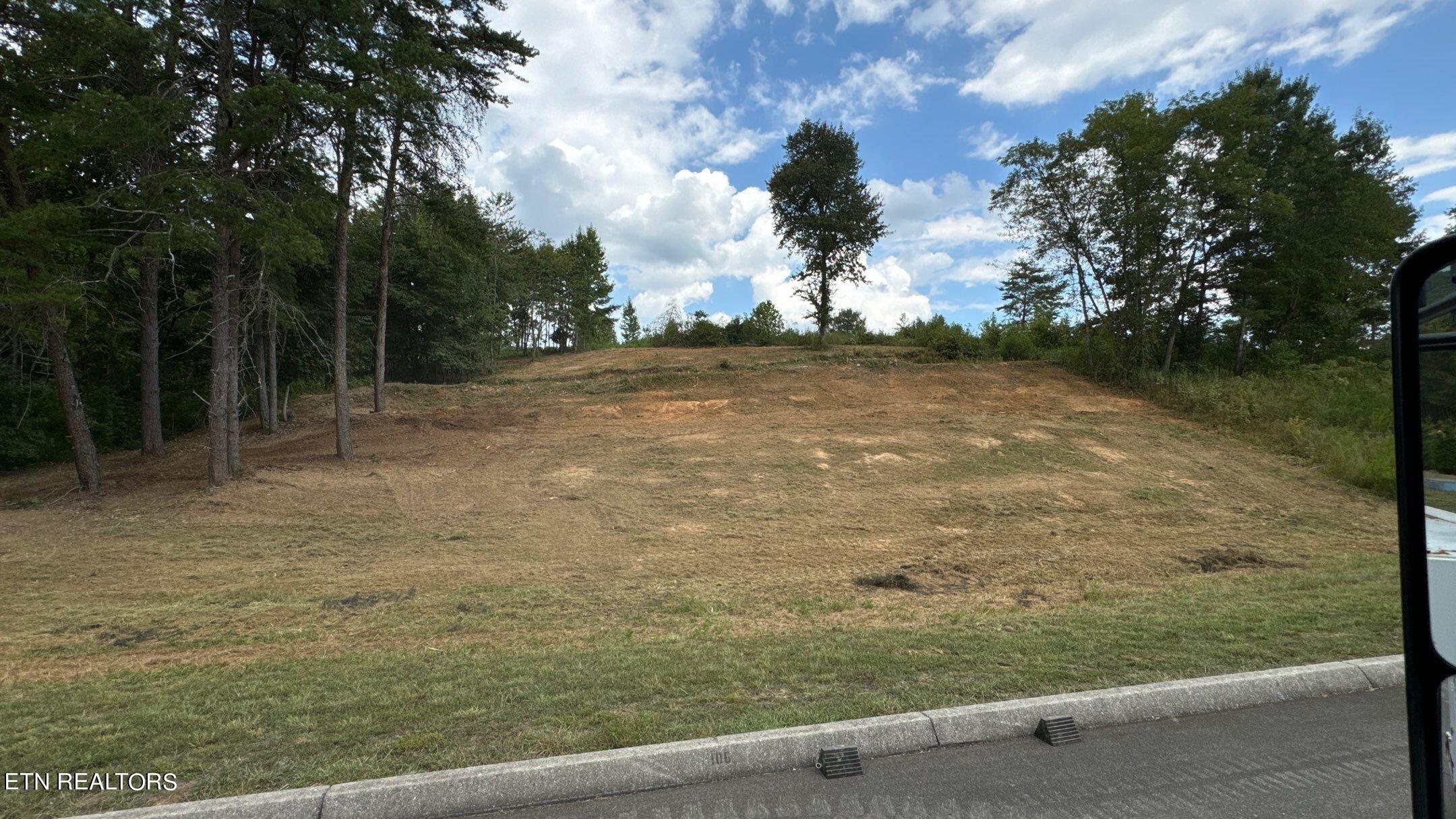 Streetview - Lot 40 Meadow Ln