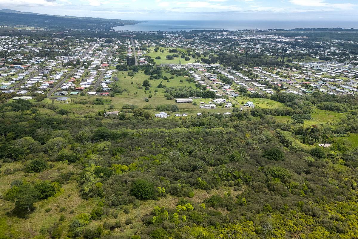 an aerial view of residential houses with outdoor space and trees