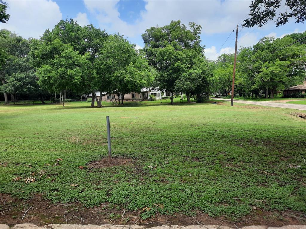 a view of a field of grass and trees