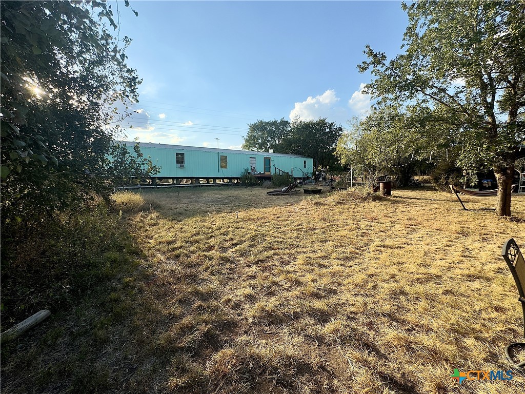 a view of a yard with a tree