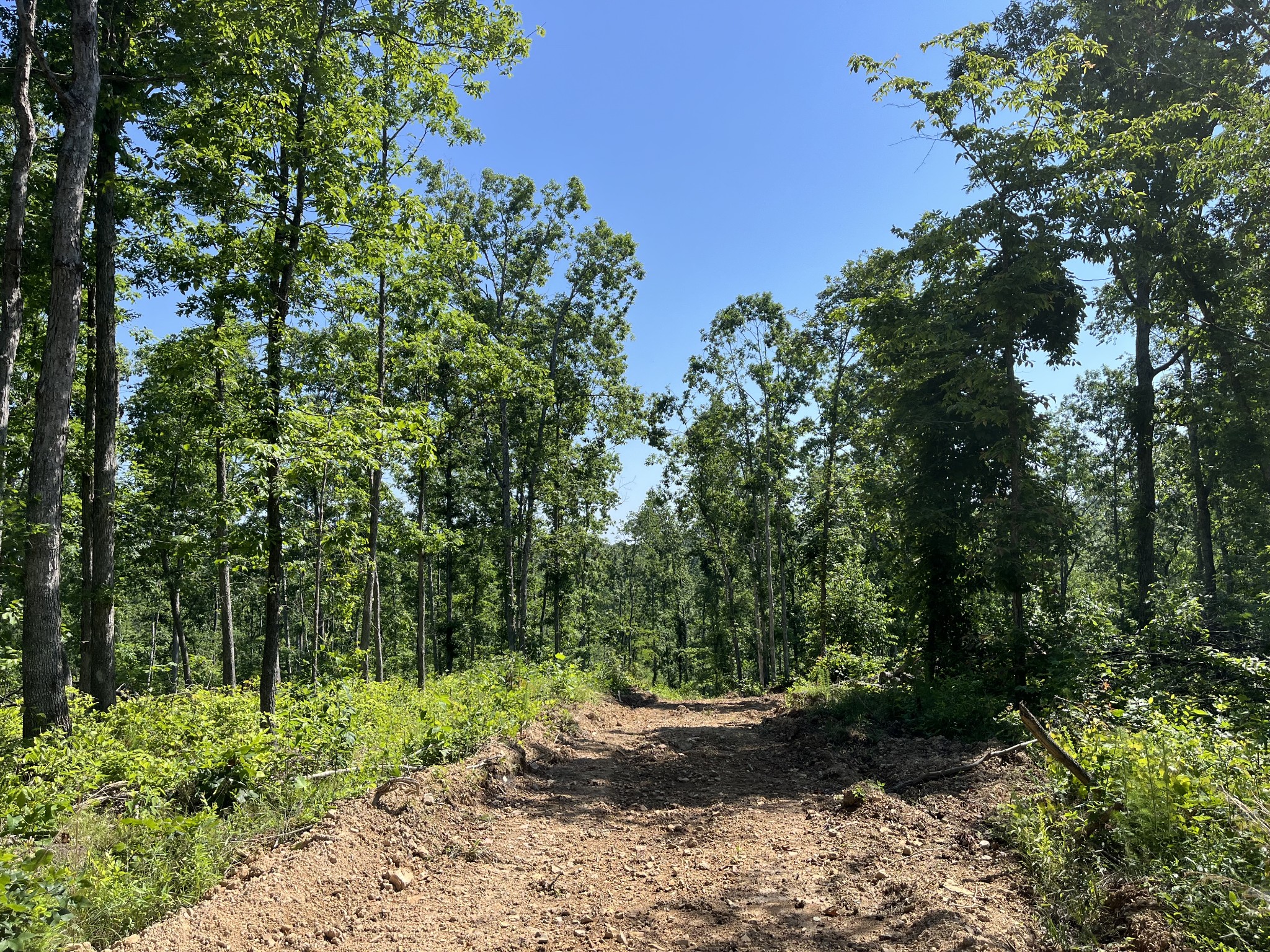 a view of an outdoor space