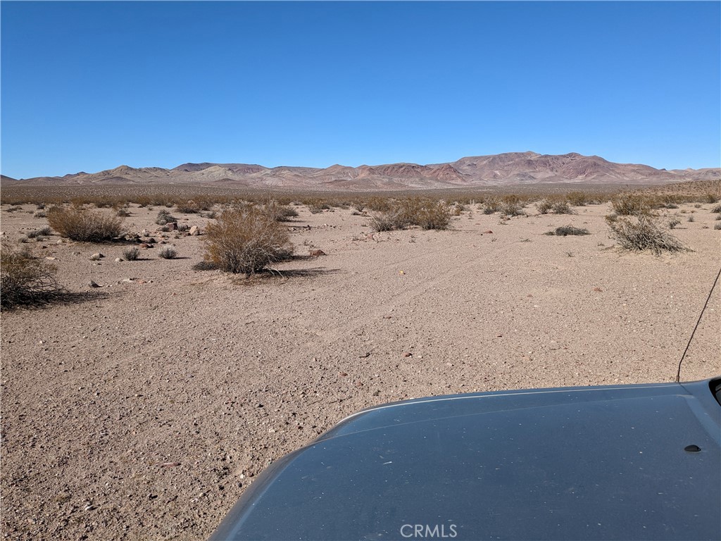 a view of a dry yard