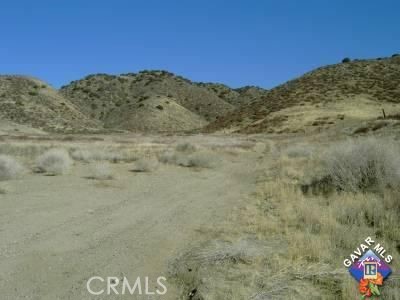 a view of a dry yard with mountains in the background