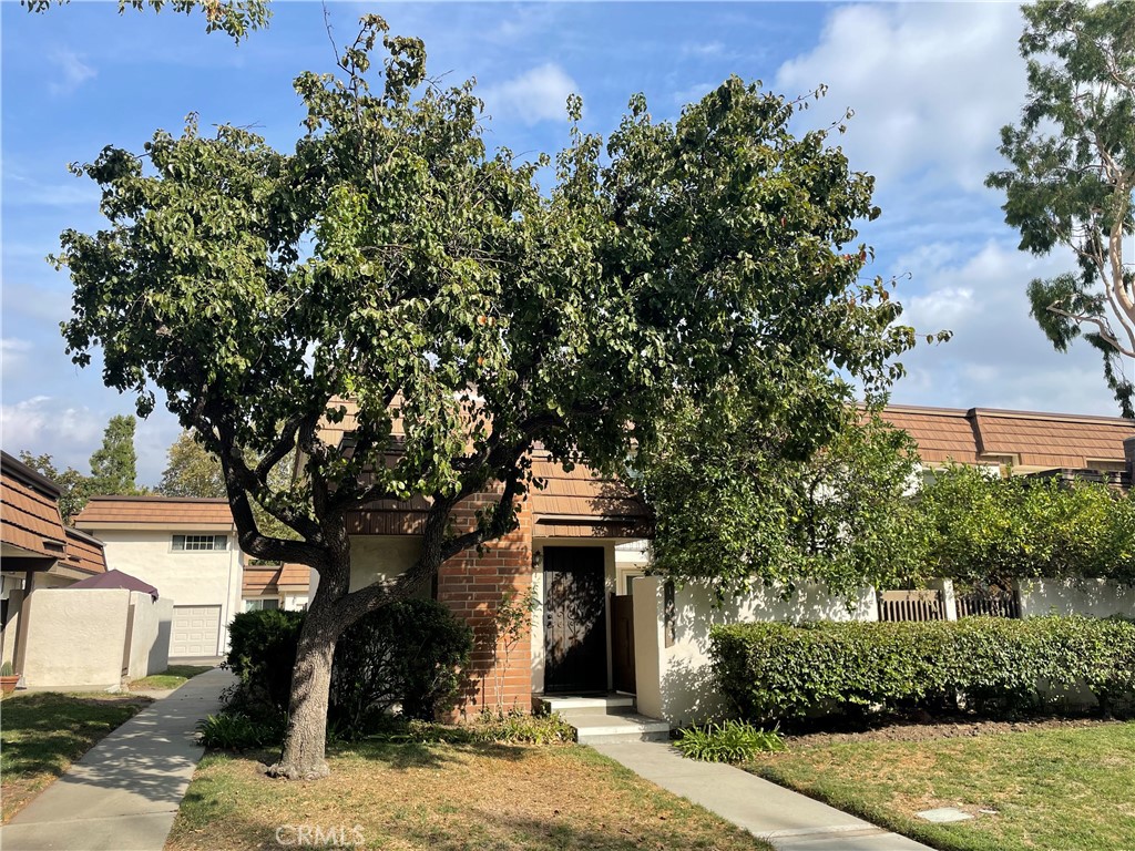 front view of a house with a tree