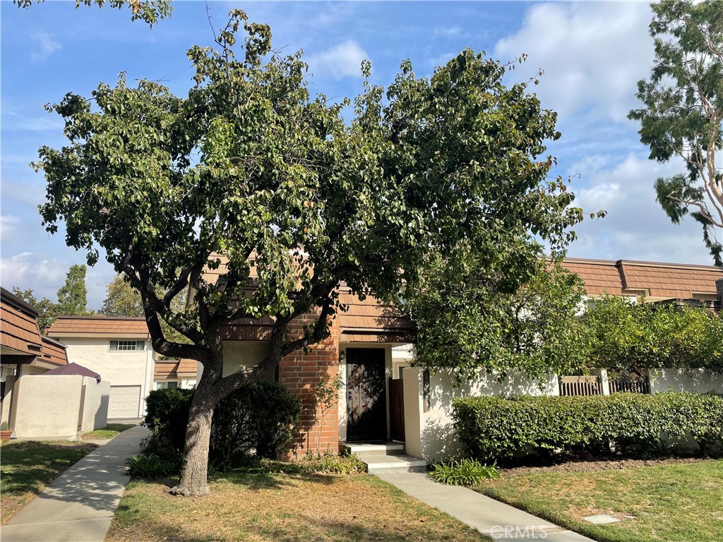 front view of a house with a tree