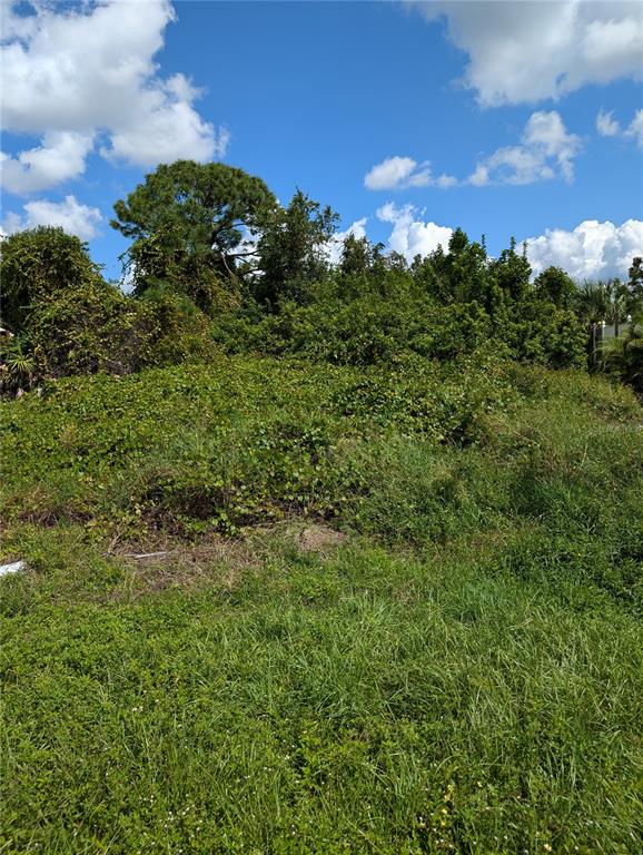 a view of a garden