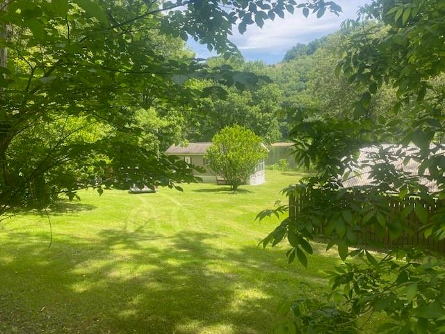 a swimming pool with lawn chairs and trees