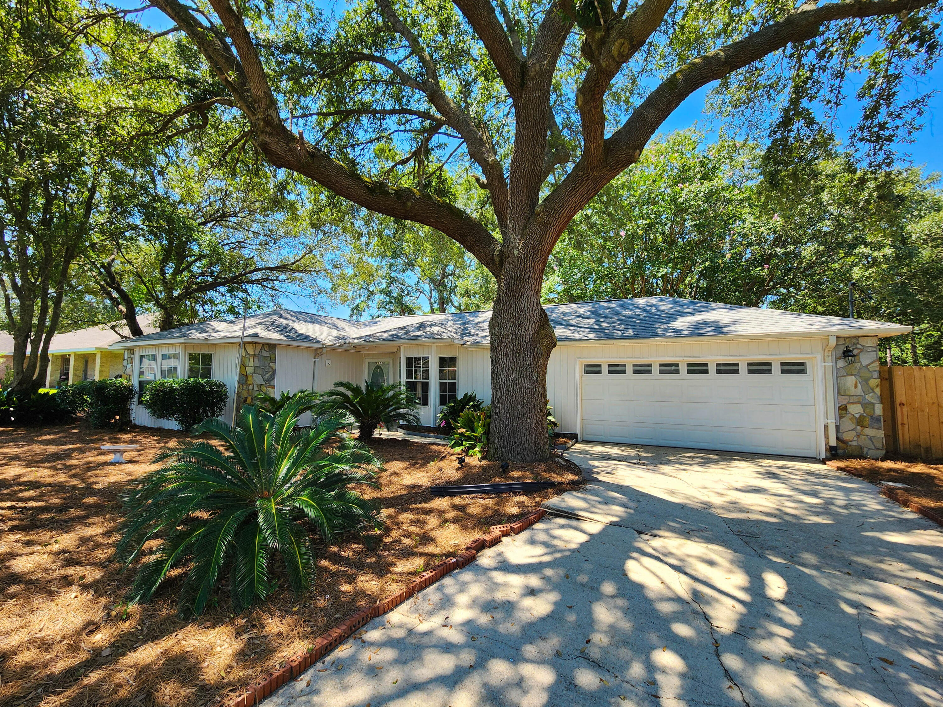 a view of a house with a tree in front