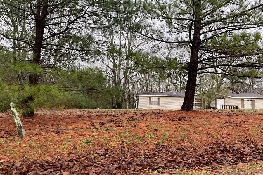 a view of backyard with green space