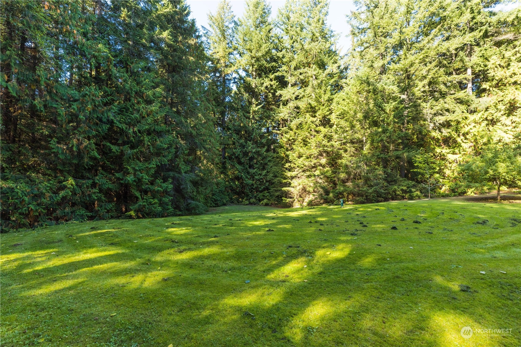 a view of a grassy field with trees