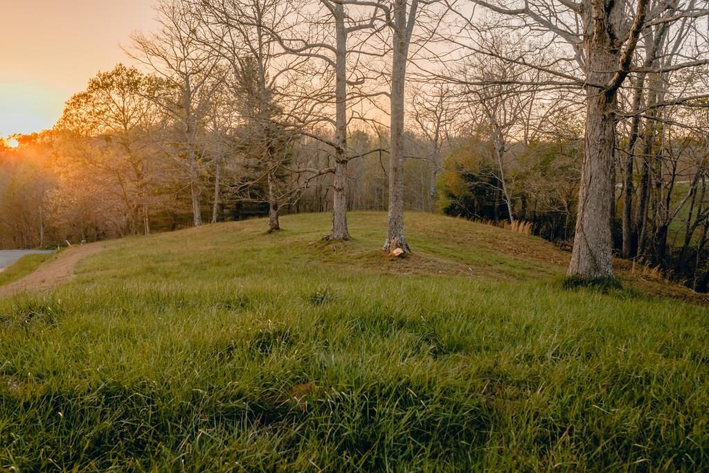 a backyard of field with large trees