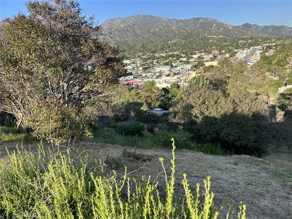 a view of a mountain with a yard