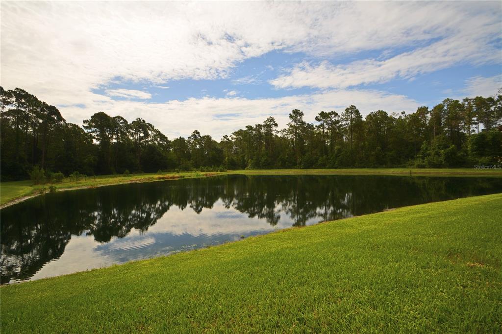 a view of a lake