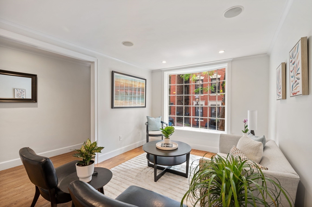 a living room with furniture and a potted plant