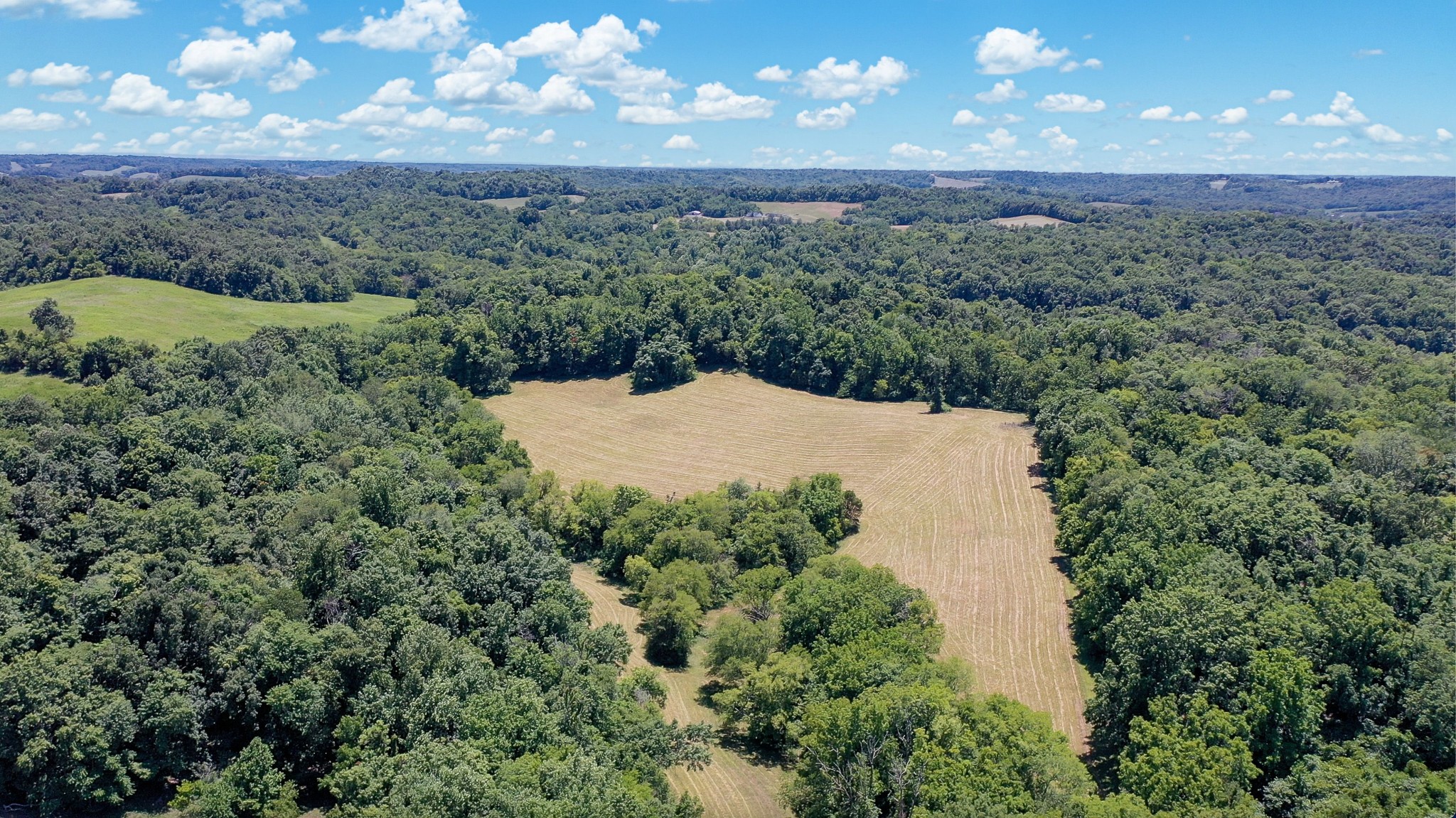 a view of a yard in a field