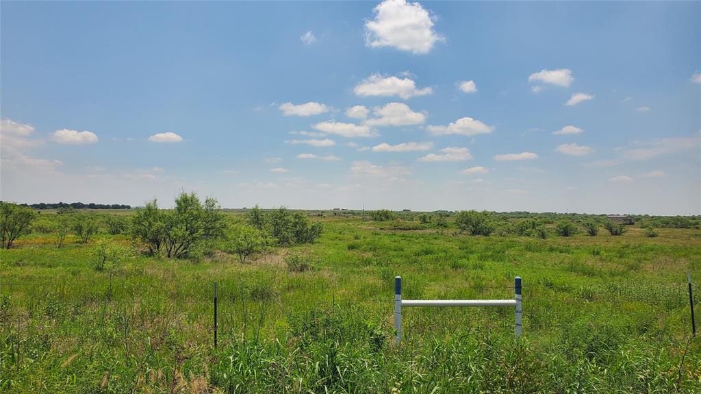 a view of yard with green space