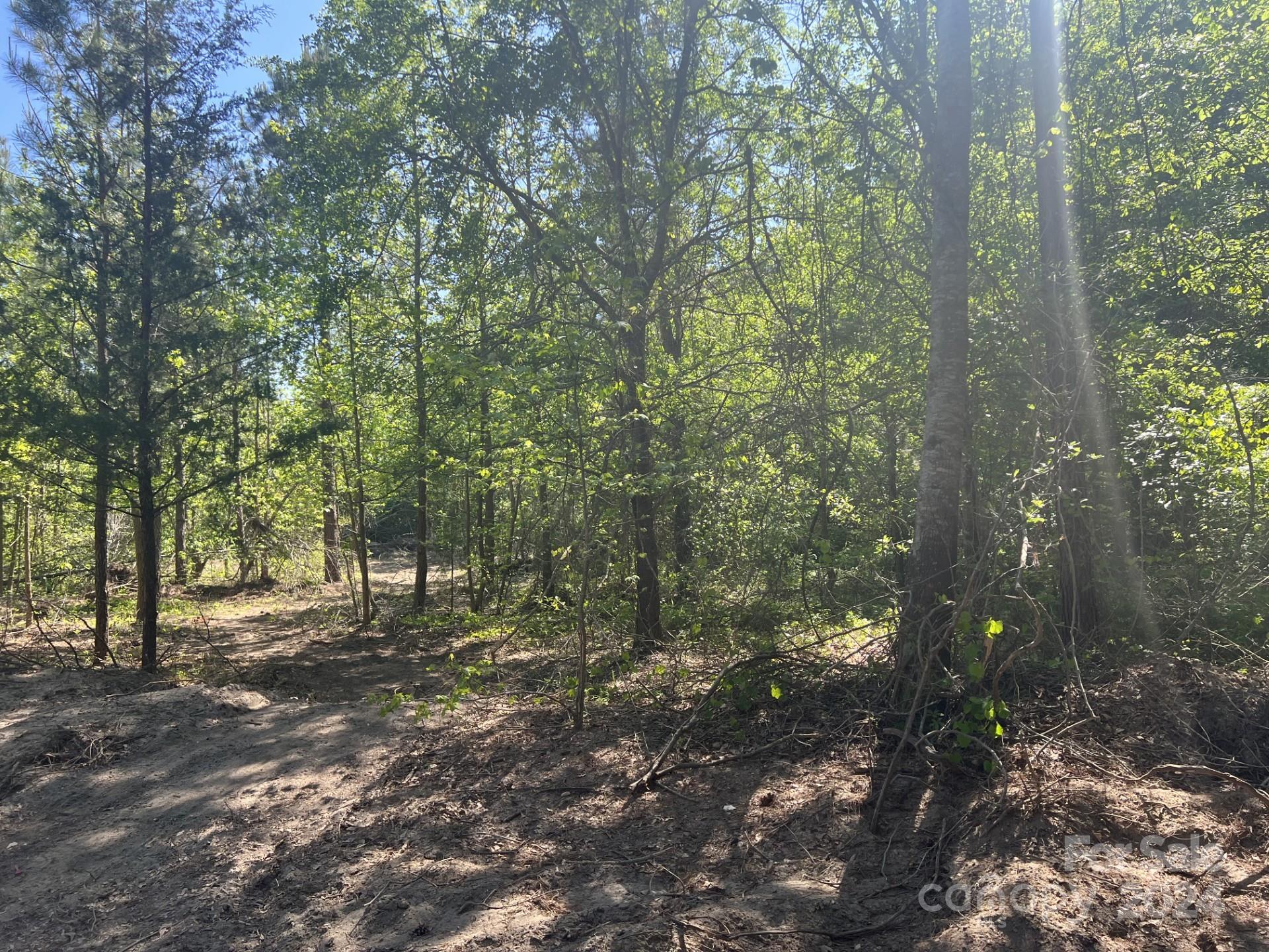 a view of outdoor space with lots of trees