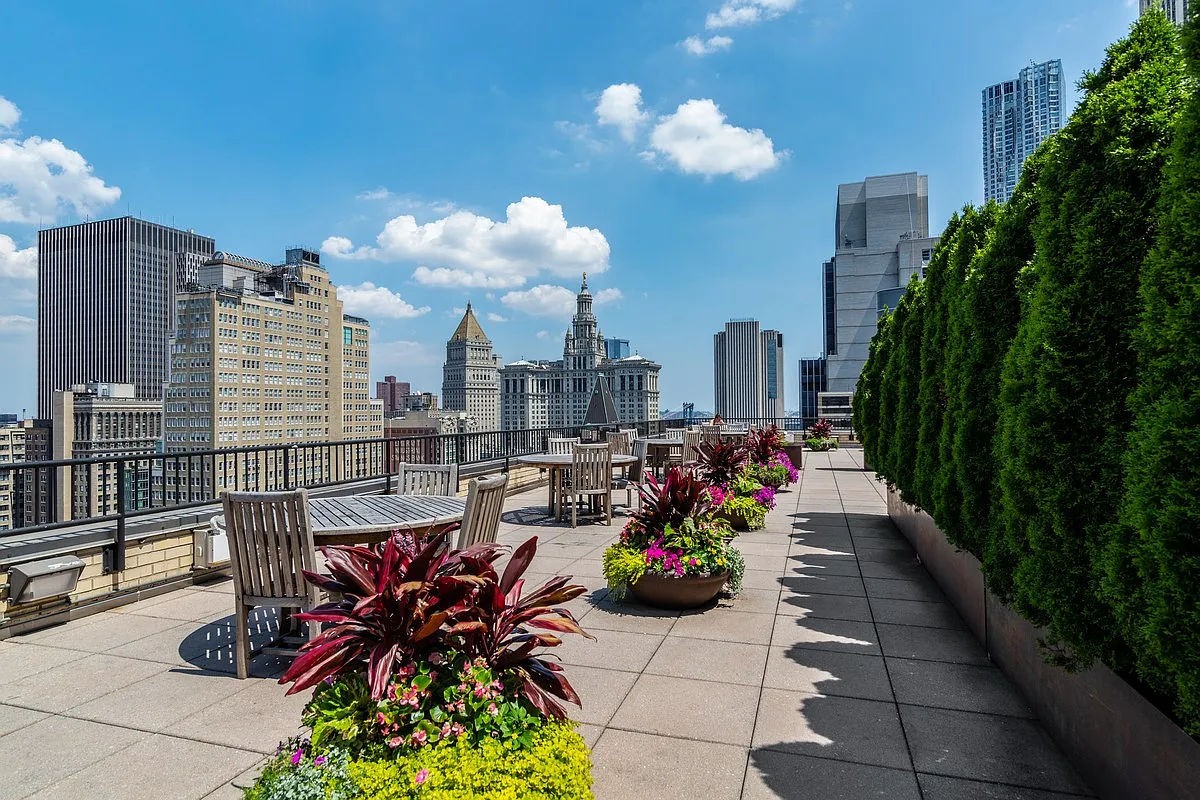 a view of a city with flower in a patio