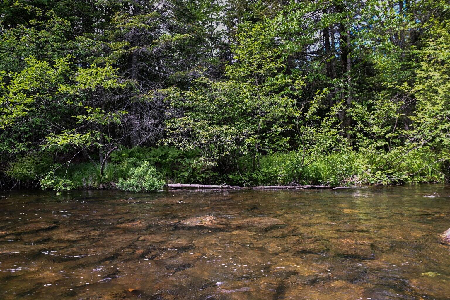 Cover Photo Beaver Mountain Road Long Po