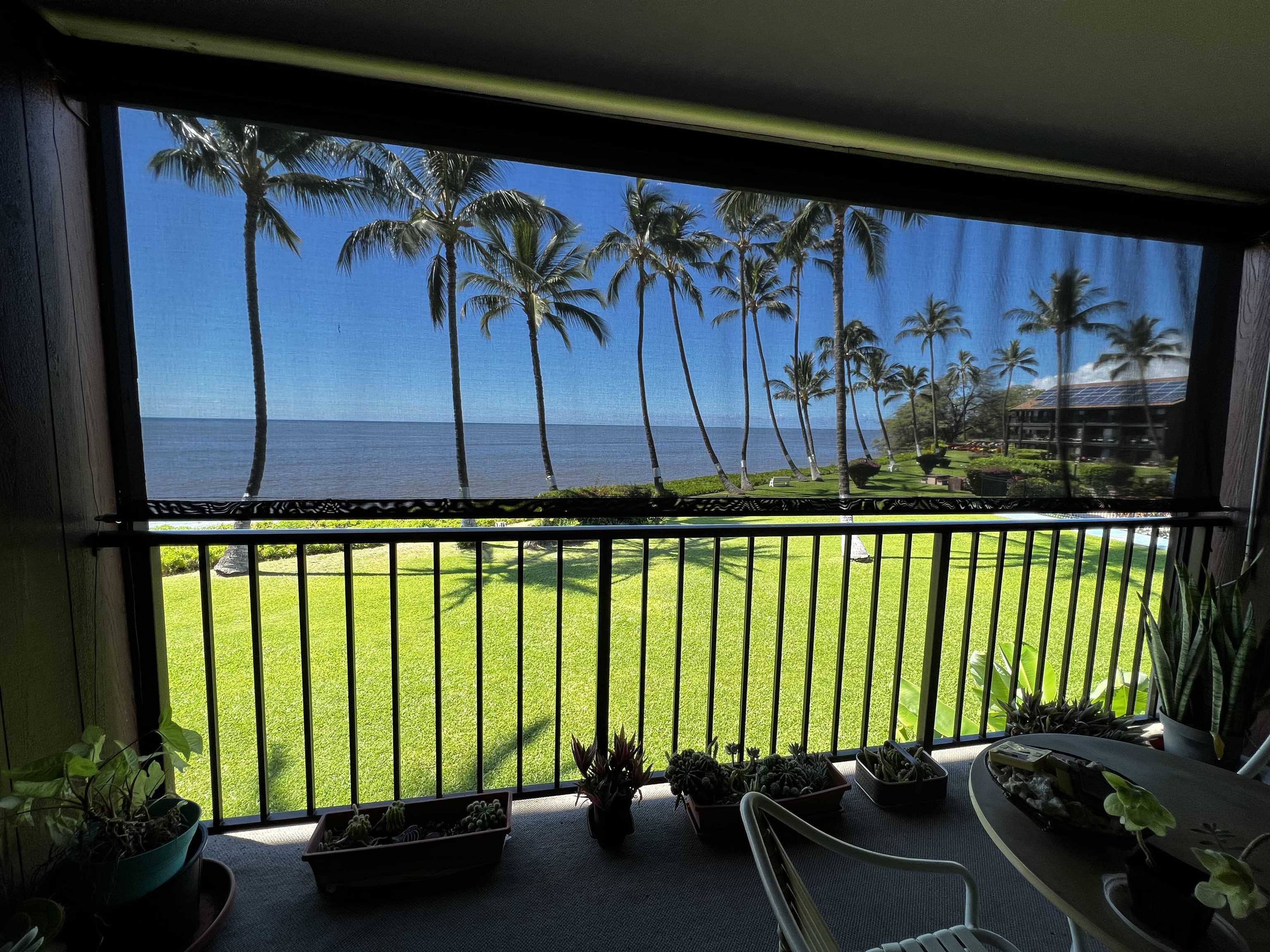 a view of a floor to ceiling window and potted plants