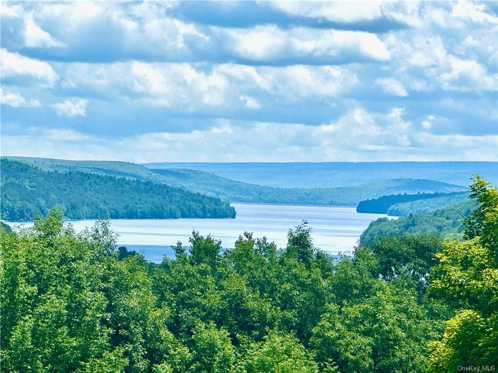 a view of a lake with a yard