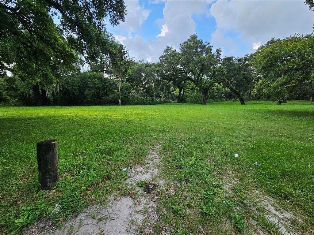 a view of yard with green space