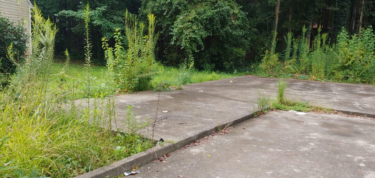 a view of a pathway with a yard