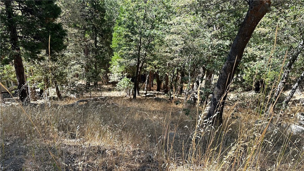 a view of outdoor space with trees