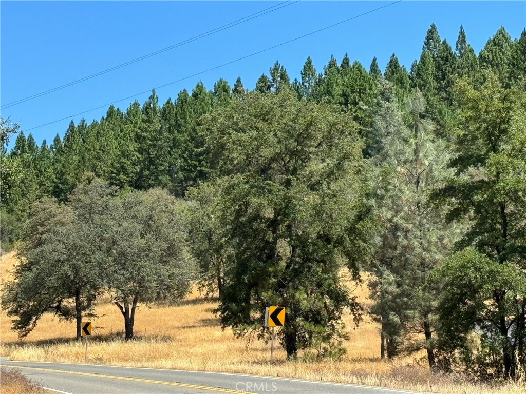 a view of a yard