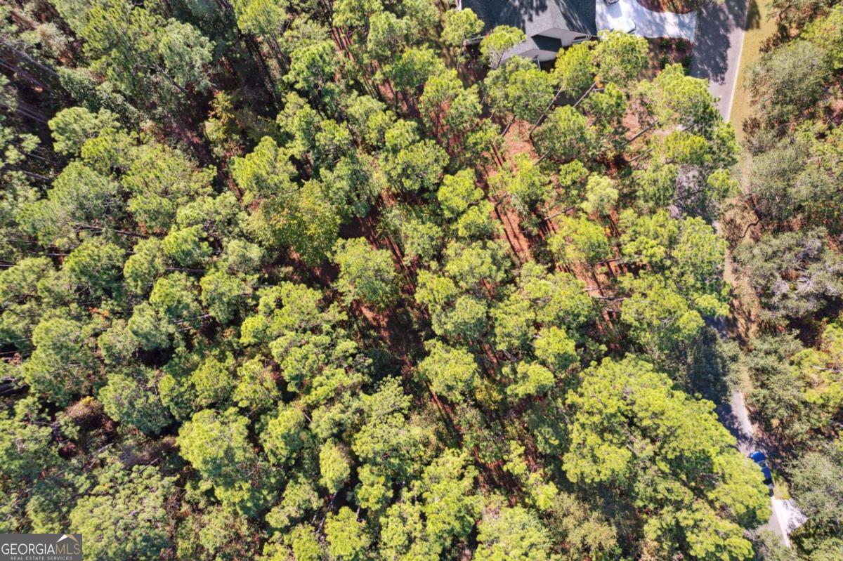 a view of a yard with a tree