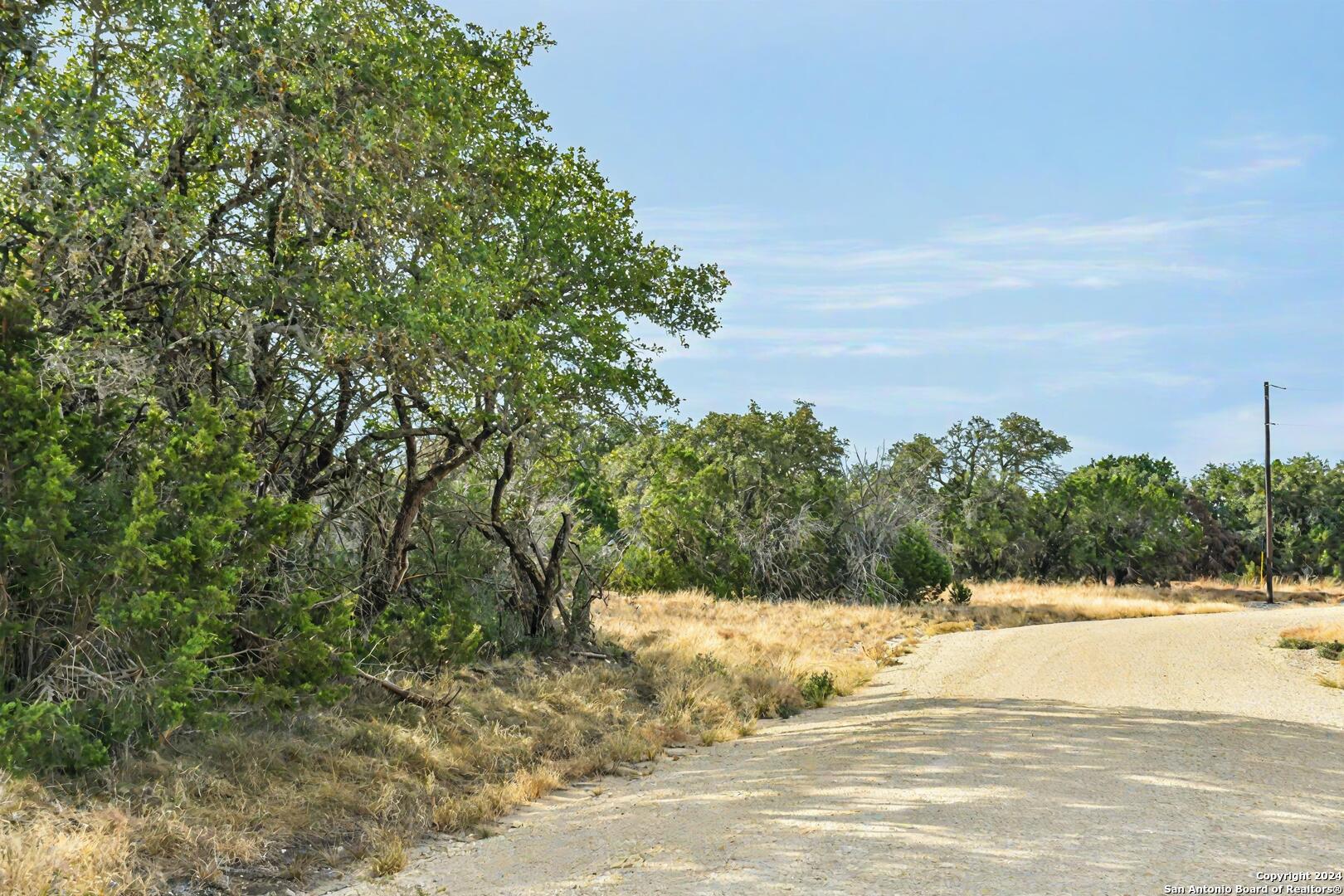 a view of a yard with trees