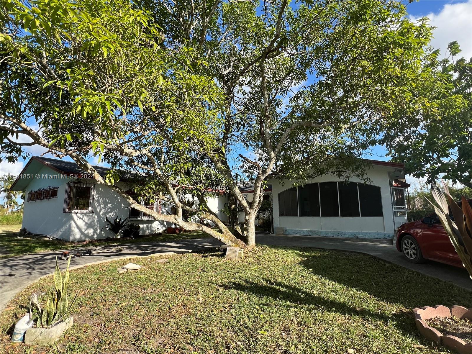 a view of a backyard with large trees