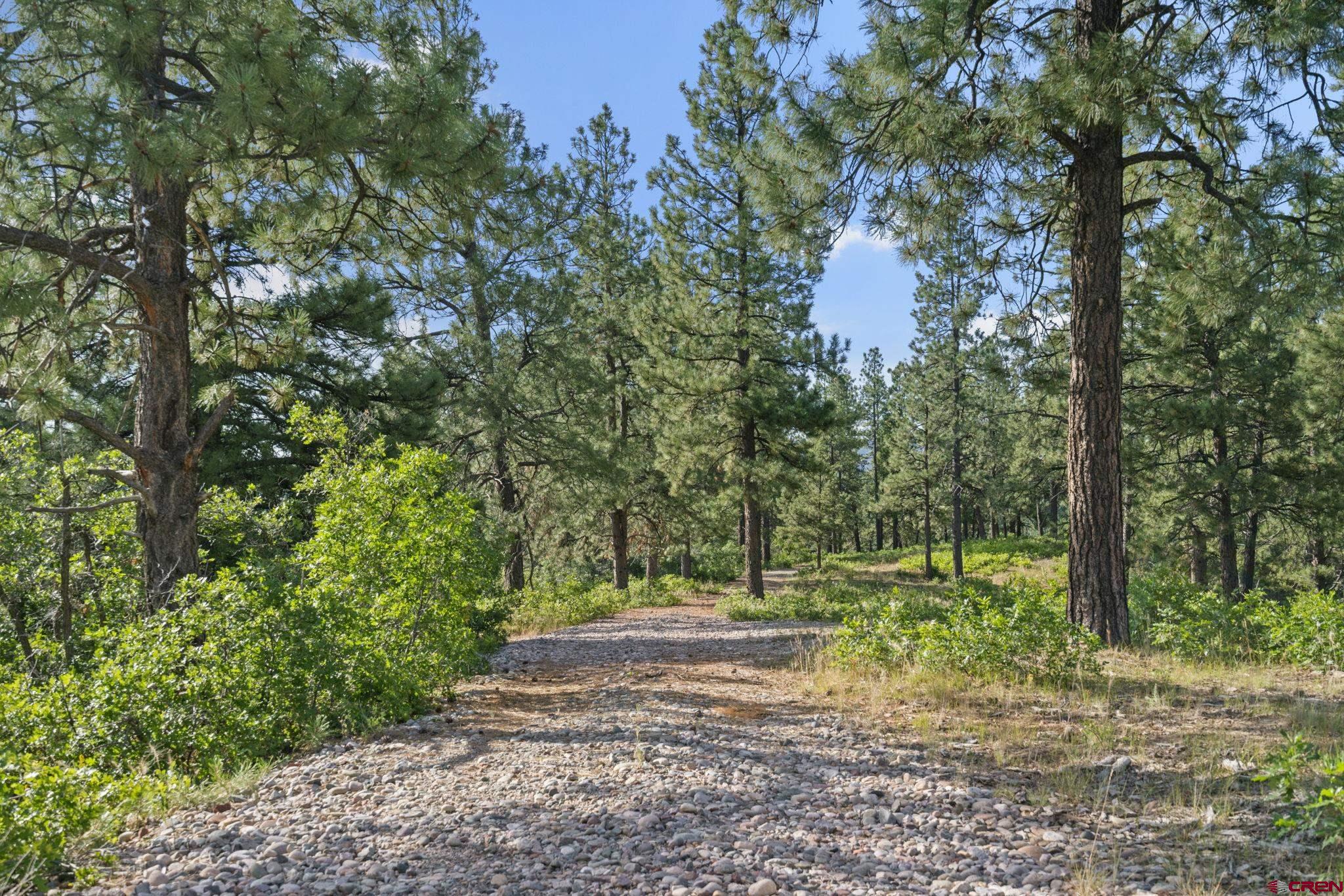 a view of outdoor space and trees