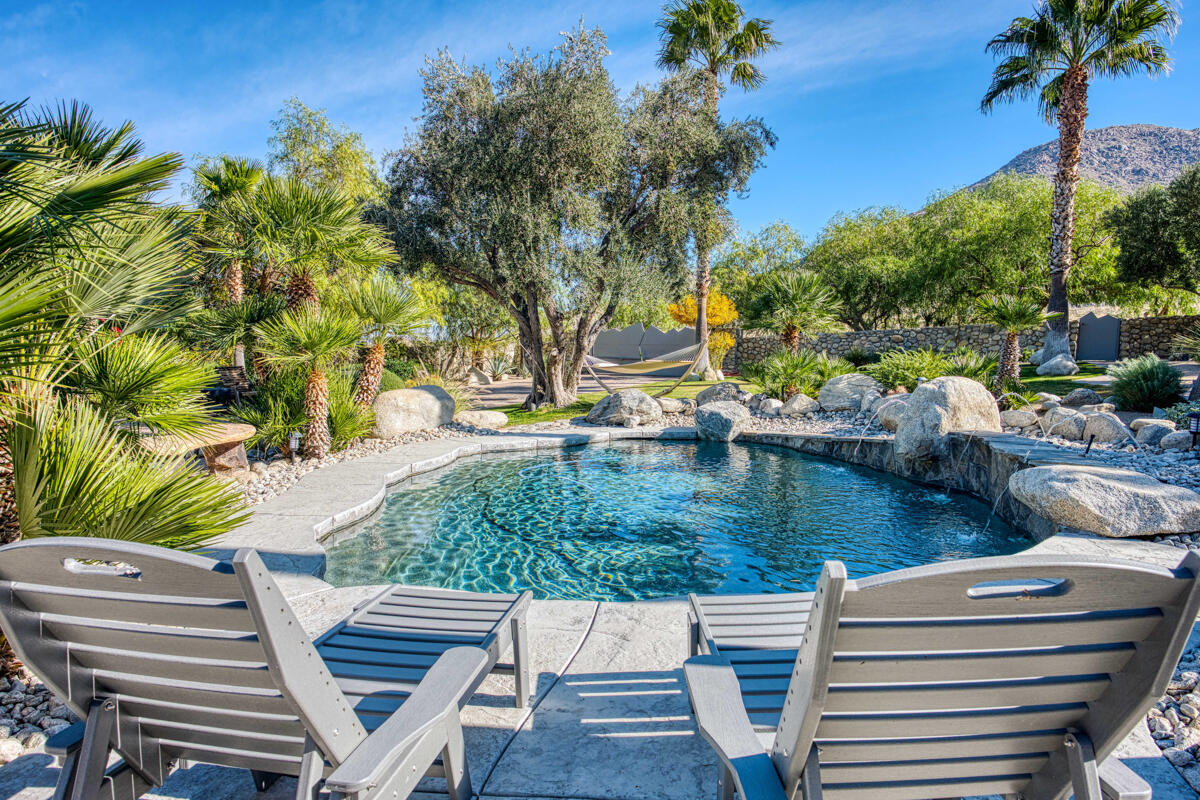 a view of a patio with lawn chairs plants and palm tree