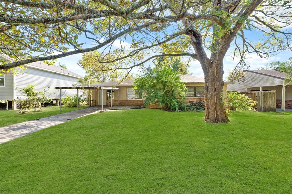 a view of a big yard with plants and large trees