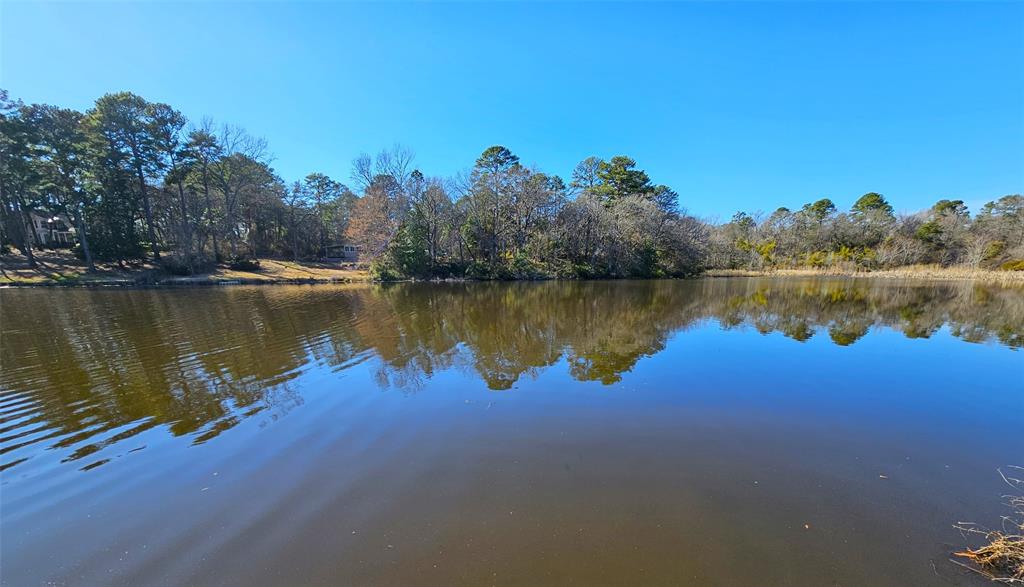 a view of a lake with houses in the background