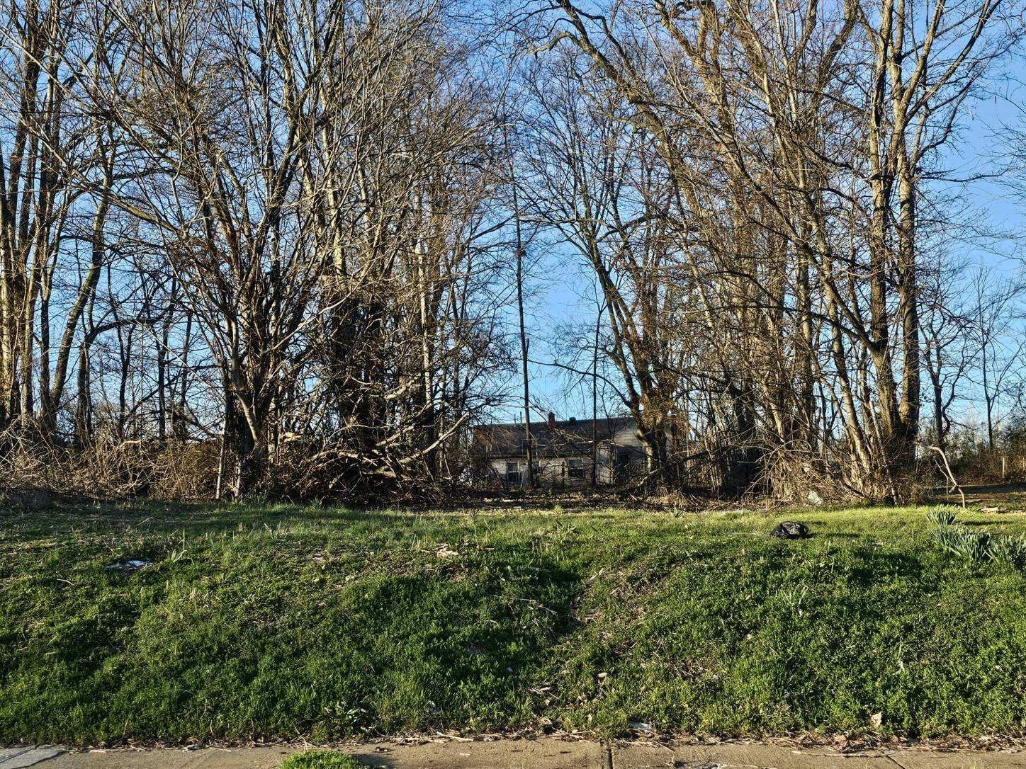 a view of garden with trees