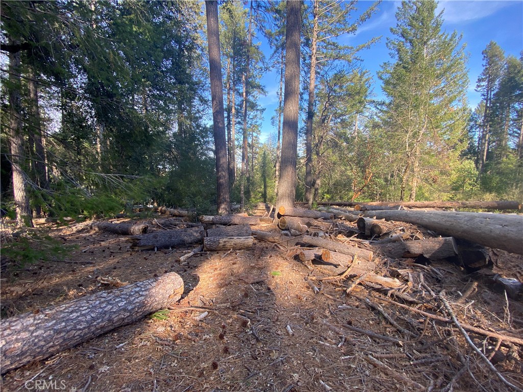 a view of a fire pit with large trees