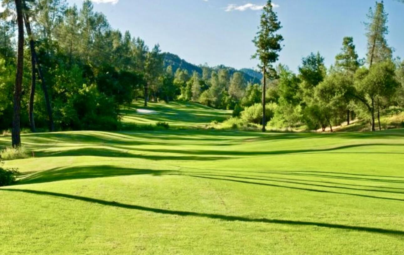 a view of a golf course with a trees