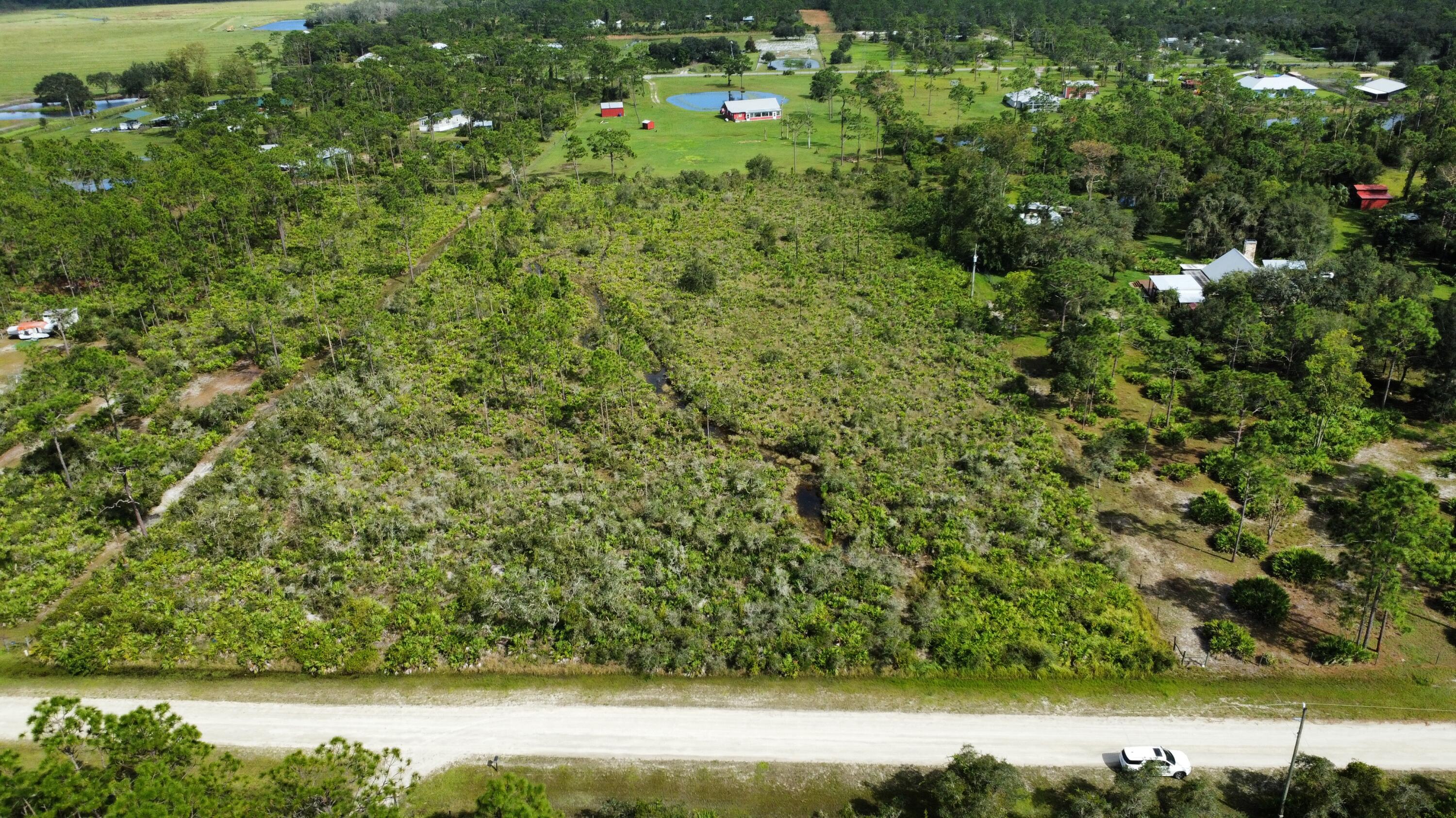 a view of yard with green space