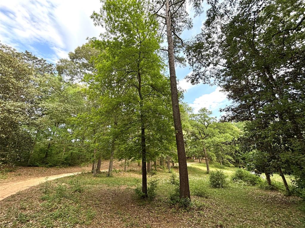 a view of outdoor space with lots of trees