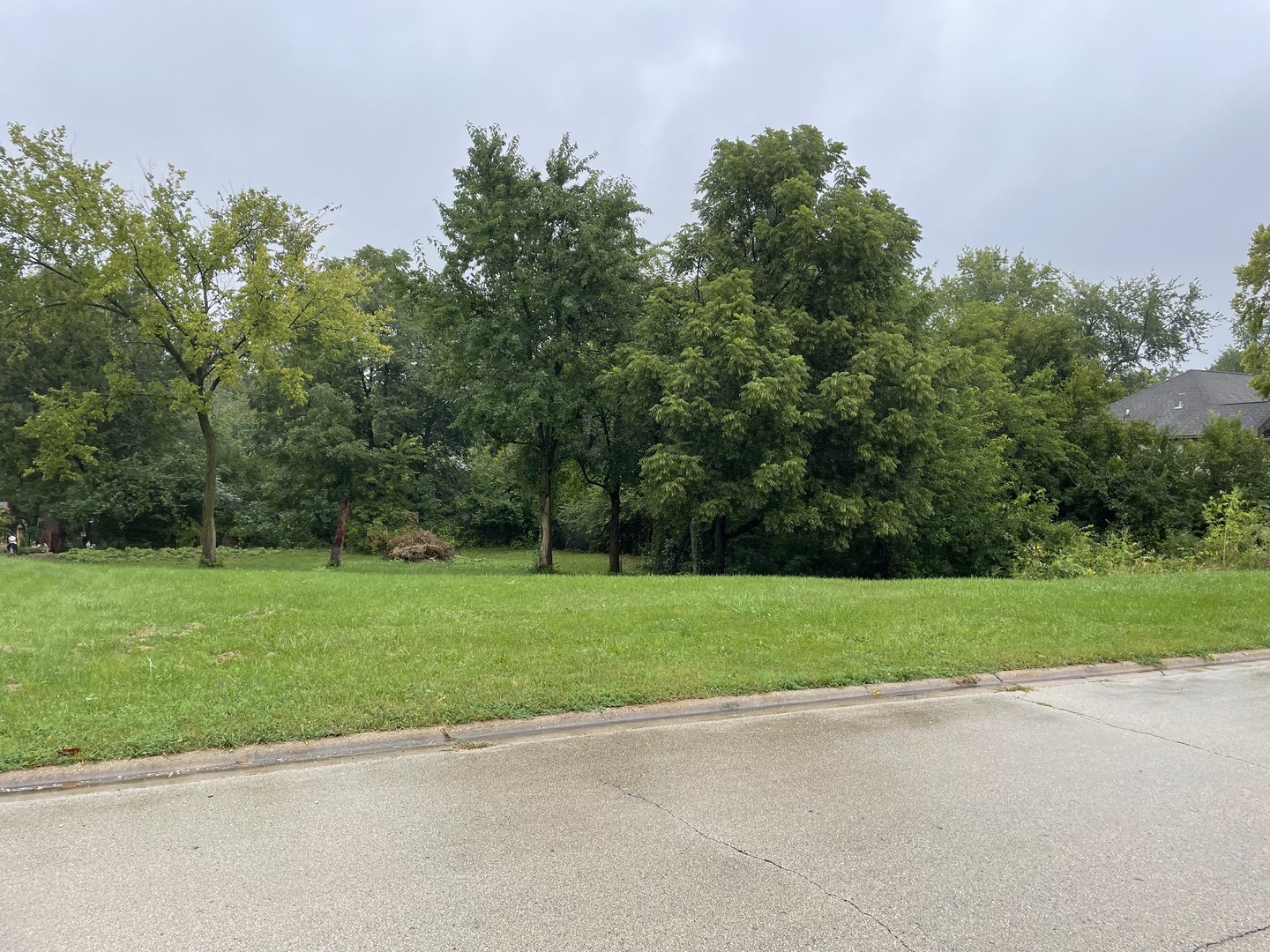 a view of a field and trees in the background