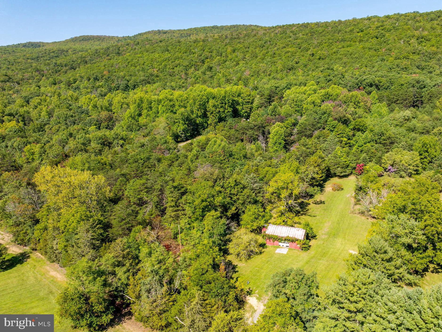 a view of a large yard with lots of trees